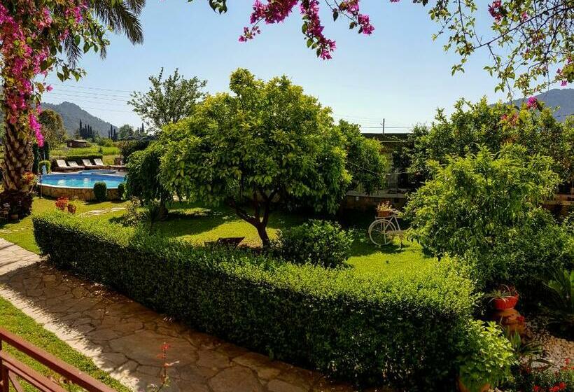 غرفة قياسية, Papirus