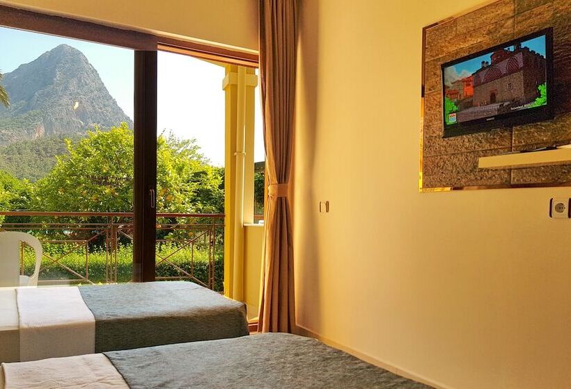 غرفة قياسية, Papirus