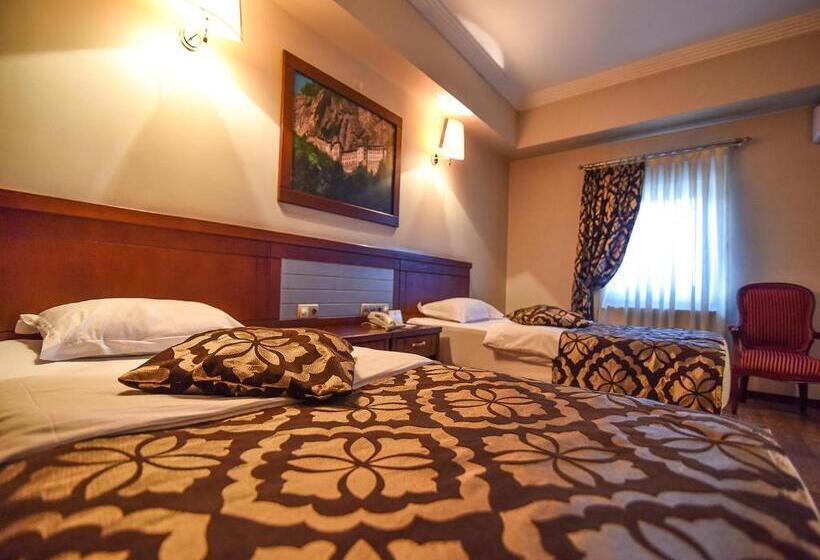 اتاق استاندارد, Saylamlar