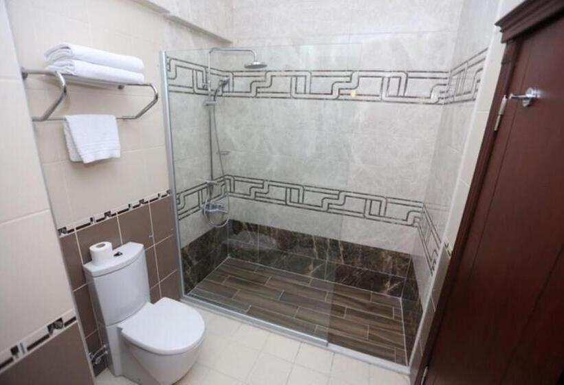 اتاق استاندارد, Saylamlar