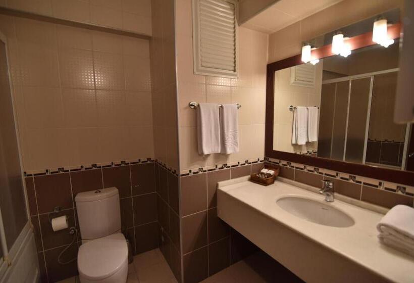 اتاق اکونومی, Saylamlar