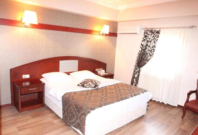 اتاق اکونومی, Saylamlar