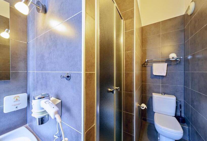 Номер Superior, Adonis Hotel Strasbourg