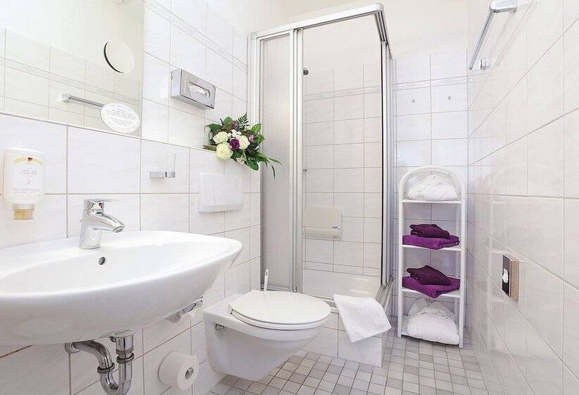 חדר קומפורט יחיד, Vitalhotel Am Stadtpark Superior