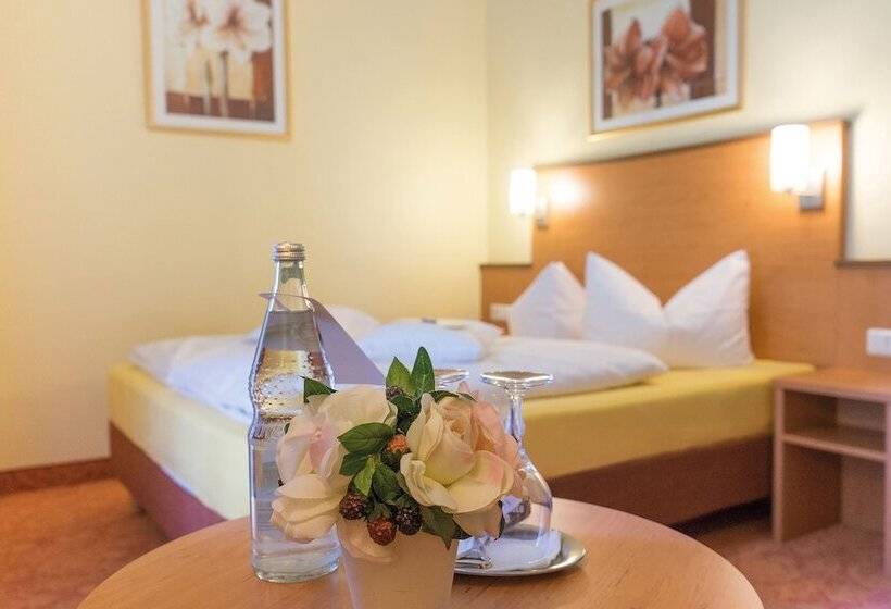 Номер Комфорт Индивидуальный, Vitalhotel Am Stadtpark Superior