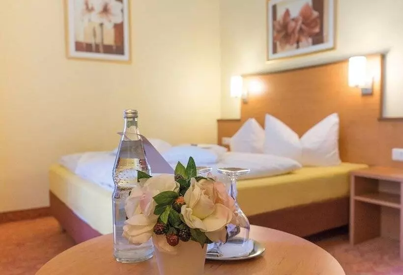 اتاق راحتی یک تخته, Vitalhotel Am Stadtpark Superior