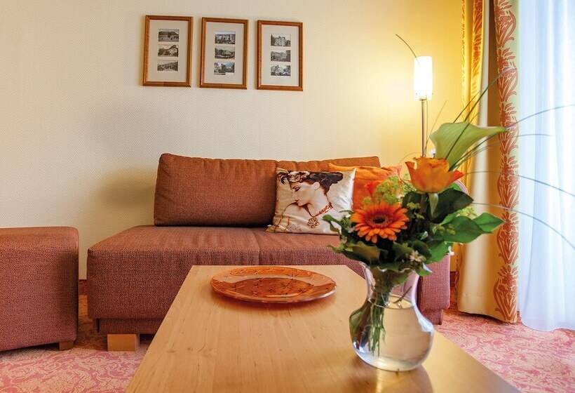 חדר קומפורט יחיד, Vitalhotel Am Stadtpark Superior