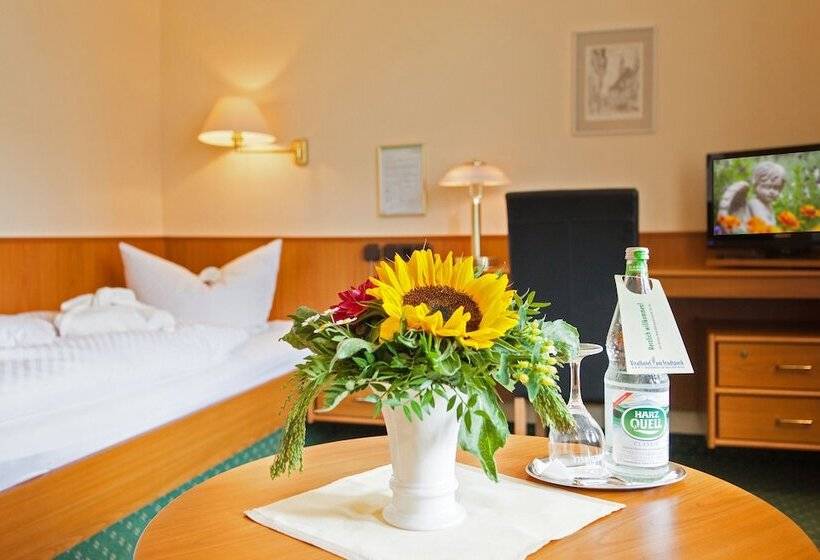 Номер Комфорт Индивидуальный, Vitalhotel Am Stadtpark Superior