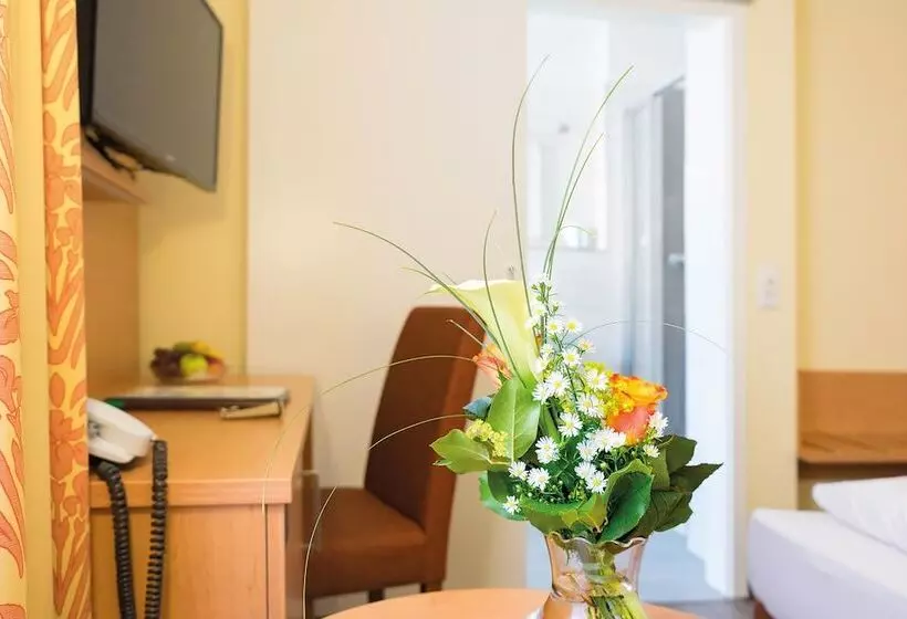اتاق کلاسیک یک تخته, Vitalhotel Am Stadtpark Superior
