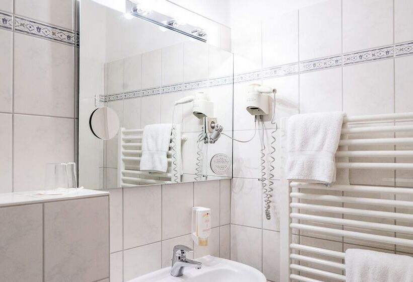 חדר יחיד קלאסי, Vitalhotel Am Stadtpark Superior