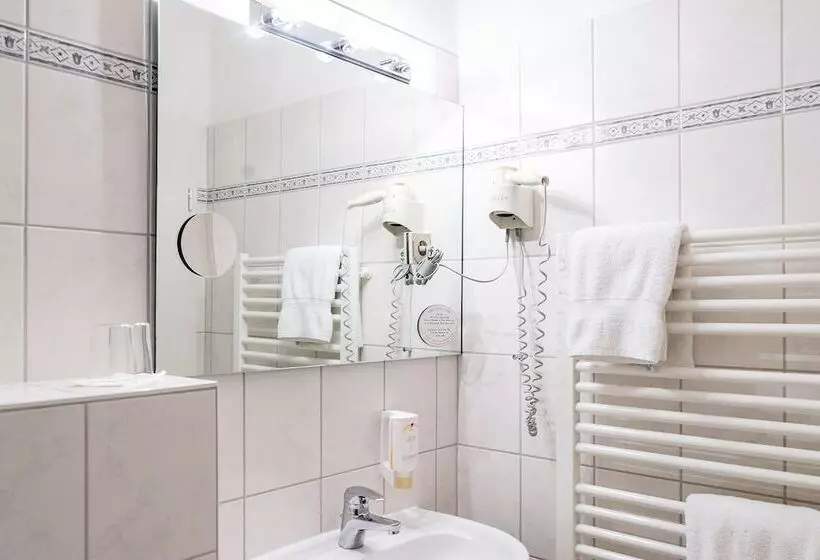 اتاق کلاسیک یک تخته, Vitalhotel Am Stadtpark Superior