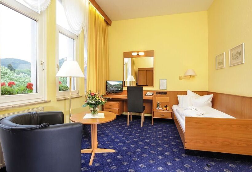 חדר יחיד קלאסי, Vitalhotel Am Stadtpark Superior