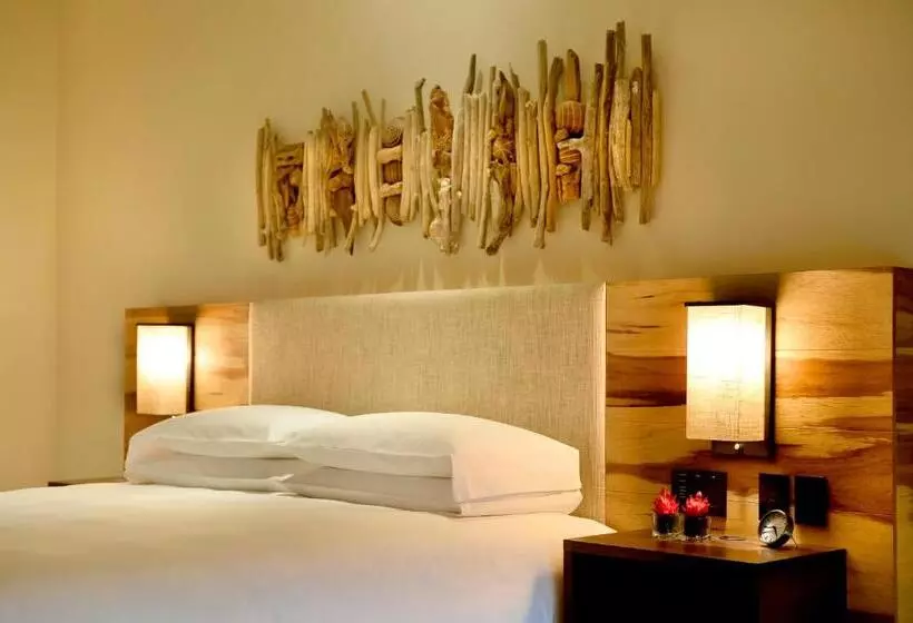 キングサイズベッドのスタンダードルーム, Andaz Peninsula Papagayo Resort, Costa Rica, By Hyatt