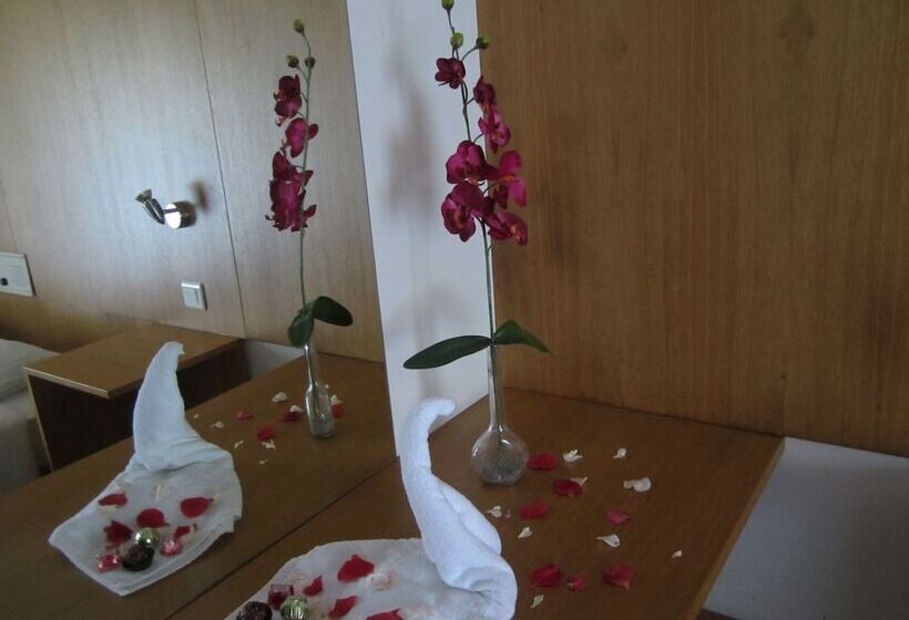 로맨틱 룸, Eco Salvador