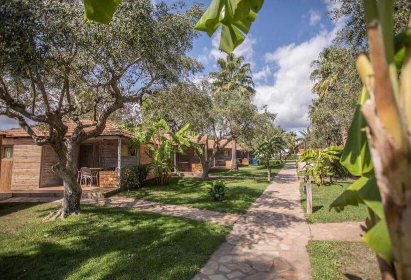 בקתה סופריור, Alannia Els Prats