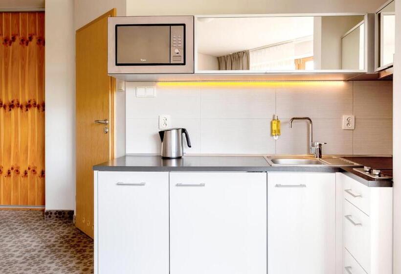 １ベッドルームアパートメント, Aparthotel Cristal Resort Szklarska Poręba By Zdrojowa