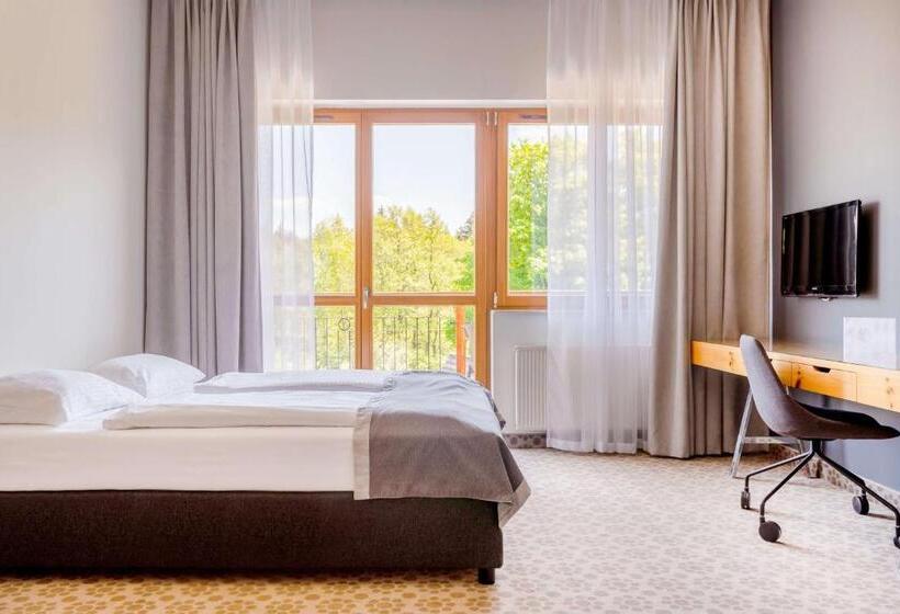 ビュー有りのスタンダードワンルーム, Aparthotel Cristal Resort Szklarska Poręba By Zdrojowa