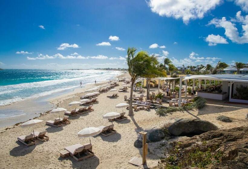 اتاق سوپریور با تخت بزرگ, Esmeralda Resort