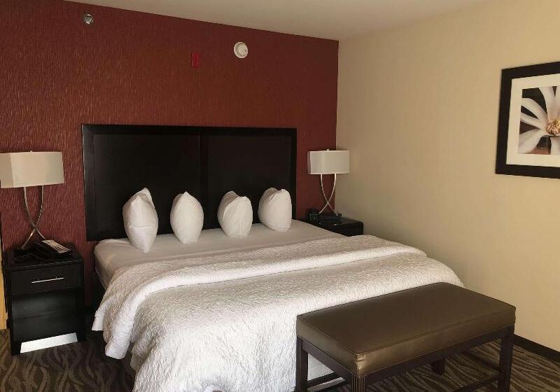 غرفة قياسية سرير كينج, Hampton Inn Augusta Fort Eisenhower