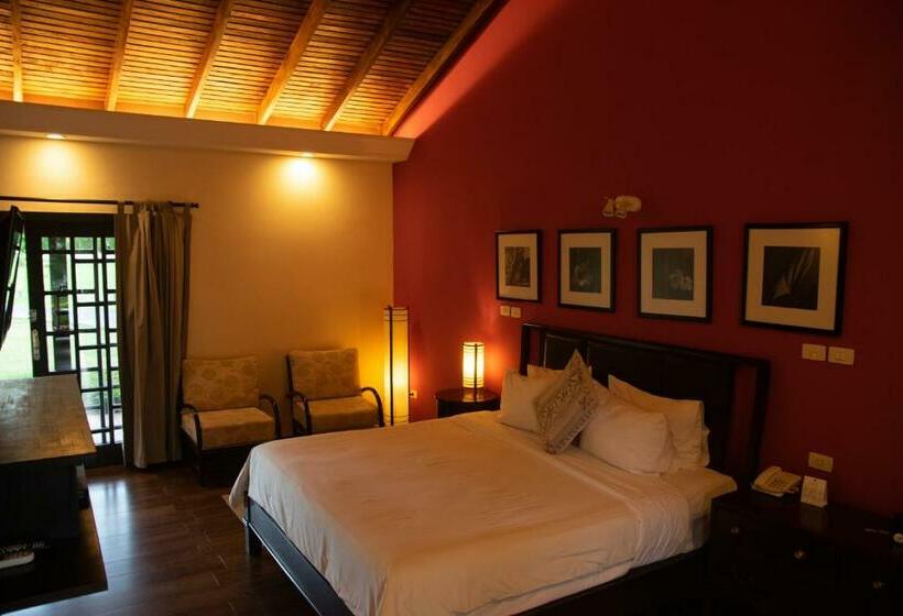 اتاق استاندارد با بالکن, Alta Gracia Parque