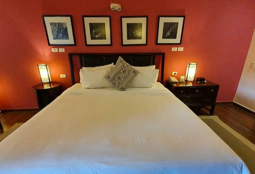 اتاق استاندارد با بالکن, Alta Gracia Parque