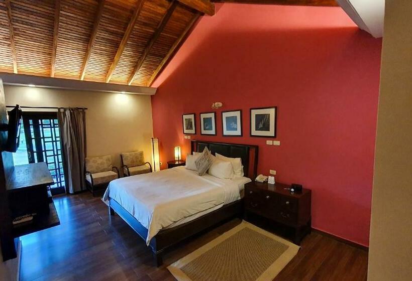 اتاق استاندارد با بالکن, Alta Gracia Parque