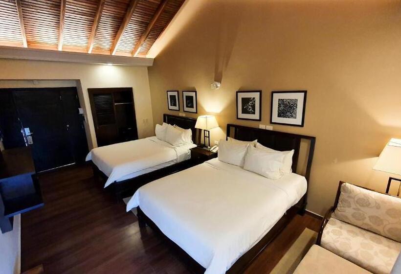 اتاق استاندارد, Alta Gracia Parque