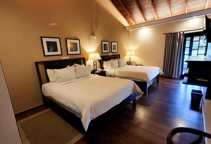 اتاق استاندارد, Alta Gracia Parque