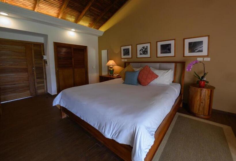 اتاق لوکس با تخت بزرگ, Alta Gracia Parque