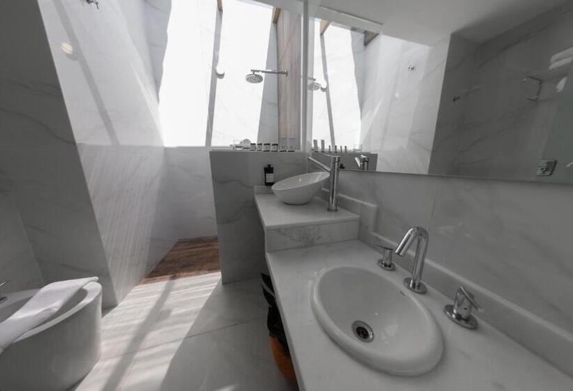 اتاق سوپریور, Alta Gracia Parque