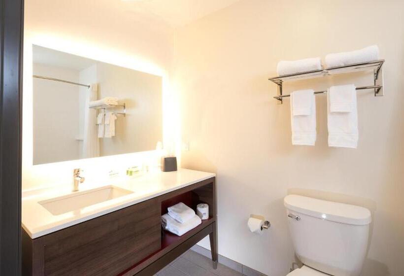 带大床的标准间, Holiday Inn & Suites Detroit   Troy, An Ihg
