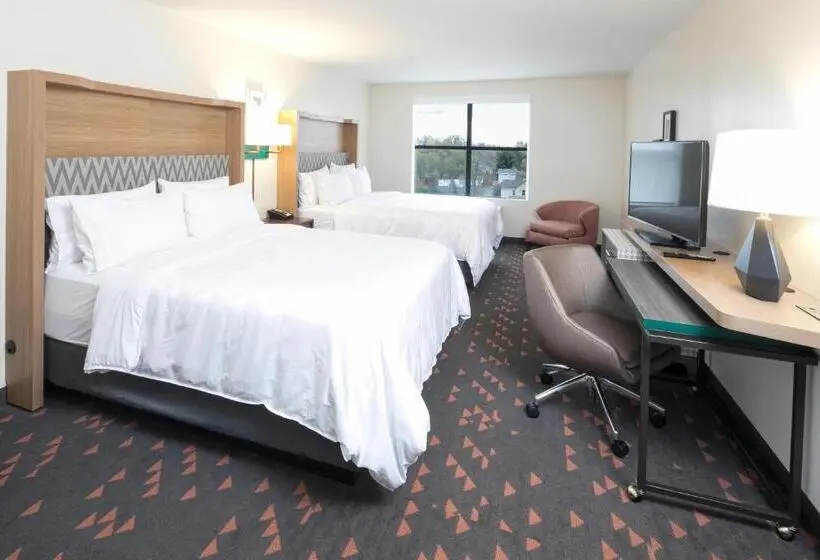 身障者適用スタンダードルーム, Holiday Inn & Suites Detroit   Troy, An Ihg