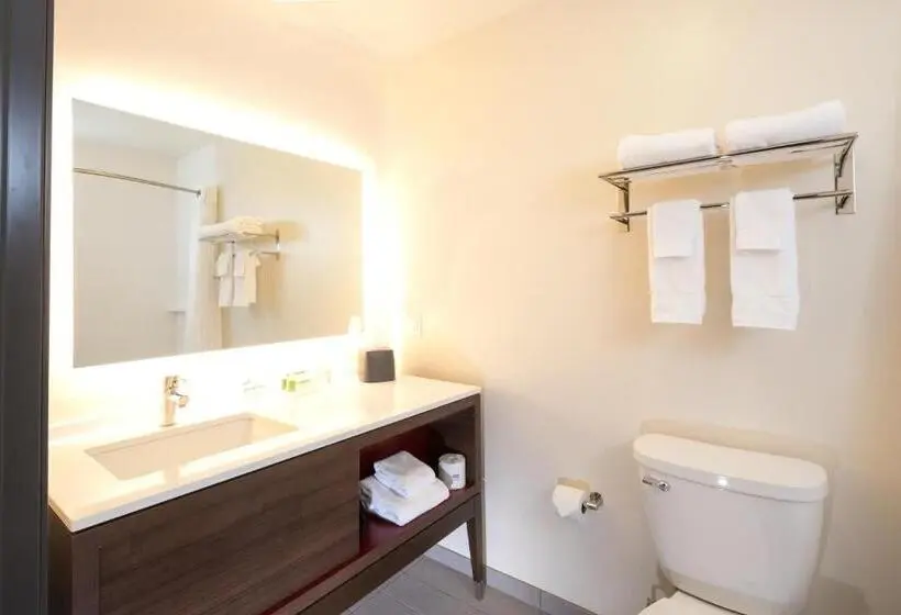 プレミアムルーム, Holiday Inn & Suites Detroit   Troy, An Ihg