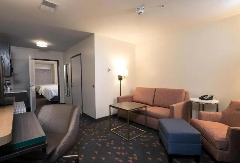 プレミアムルーム, Holiday Inn & Suites Detroit   Troy, An Ihg