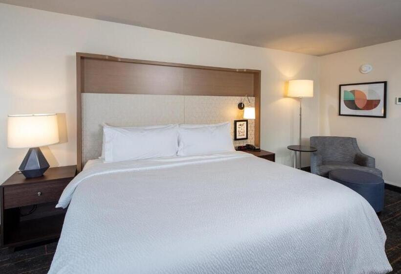 Номер Стандарт, Holiday Inn & Suites Detroit   Troy, An Ihg