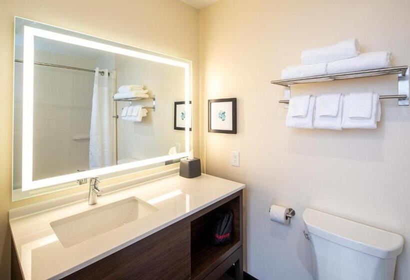 标准间, Holiday Inn & Suites Detroit   Troy, An Ihg