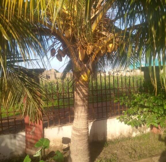 デラックススタジオ, Temaya Cottage Lodge