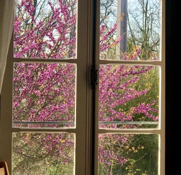 חדר דלוקס, Le Bouyssou