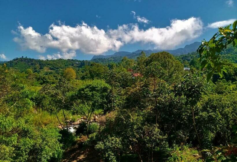 デラックスルーム, Urapan Del Rio   Finca Campestre Junto Al Rio