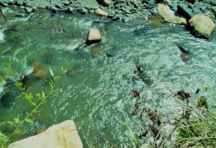 デラックスルーム, Urapan Del Rio   Finca Campestre Junto Al Rio