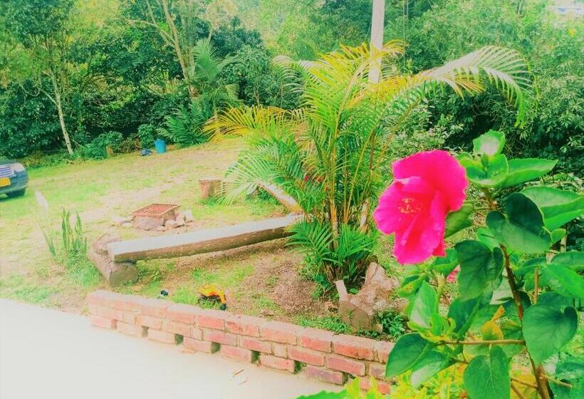 デラックスルーム, Urapan Del Rio   Finca Campestre Junto Al Rio