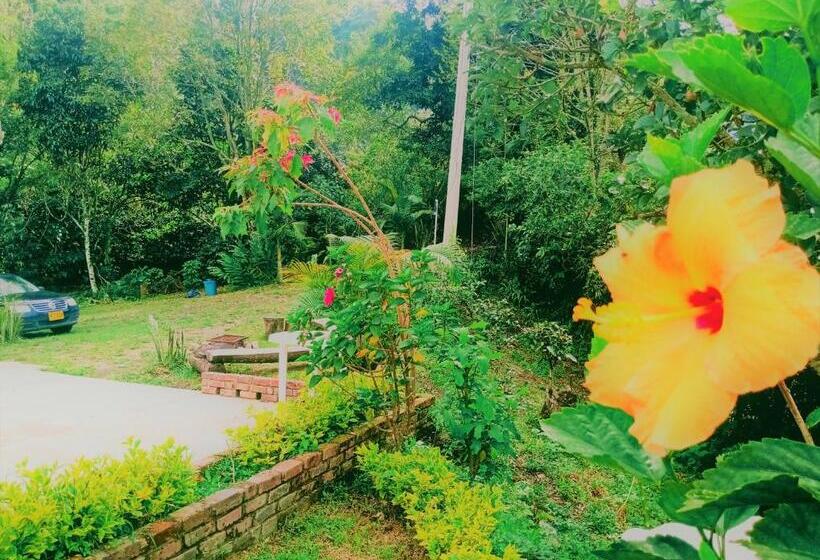 デラックスルーム, Urapan Del Rio   Finca Campestre Junto Al Rio