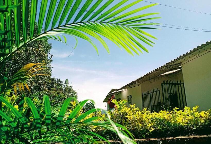 Standard Tent, Urapan Del Rio   Finca Campestre Junto Al Rio
