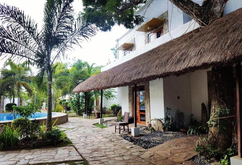 Номер Deluxe, Acacia Tree Garden