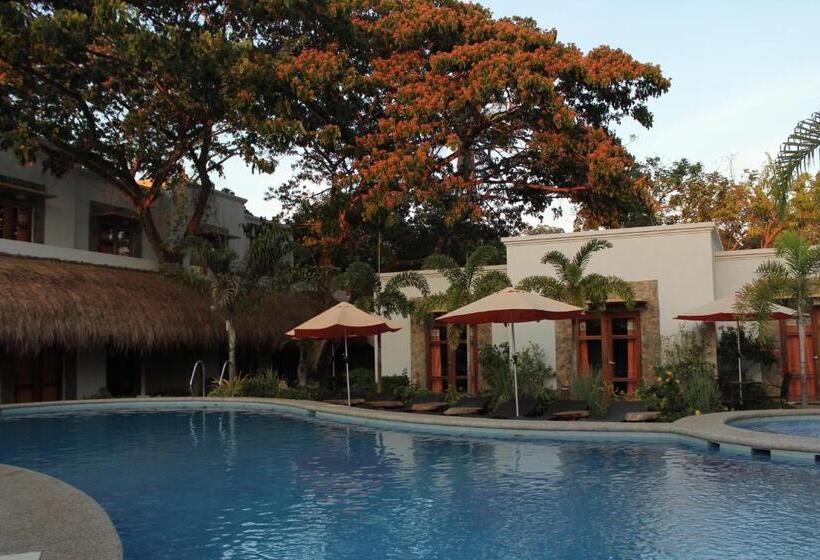 Номер Deluxe, Acacia Tree Garden