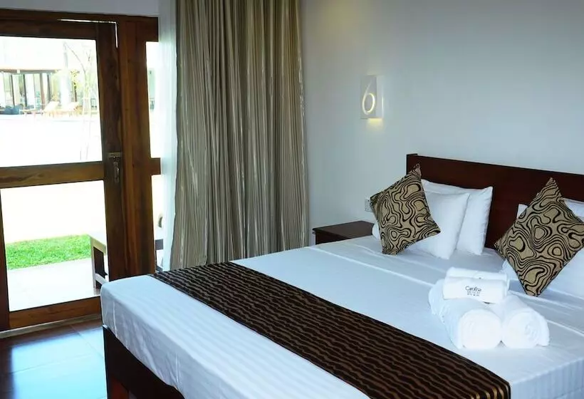 デラックスルーム, Carolina Beach Resort & Spa
