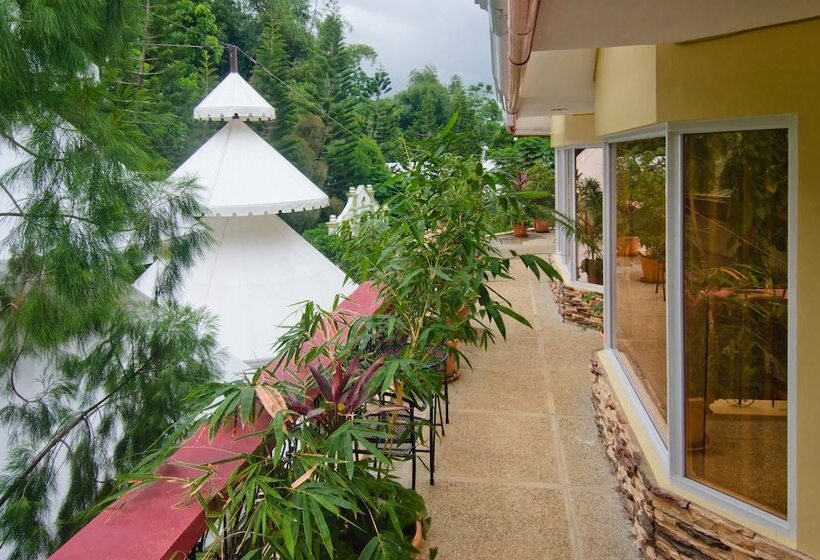 اتاق استاندارد با تخت بزرگ, Deep Forest Garden