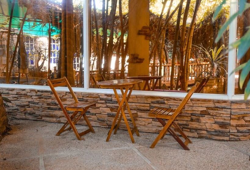 اتاق استاندارد با تخت بزرگ, Deep Forest Garden