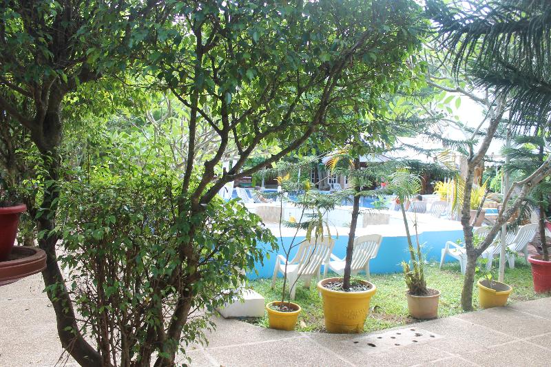 اتاق لوکس, Deep Forest Garden