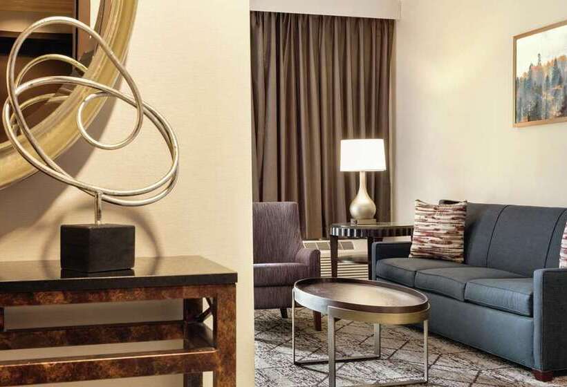 Студио Стандарт Кровать Кинг, Home2 Suites By Hilton Biloxi North/d Iberville